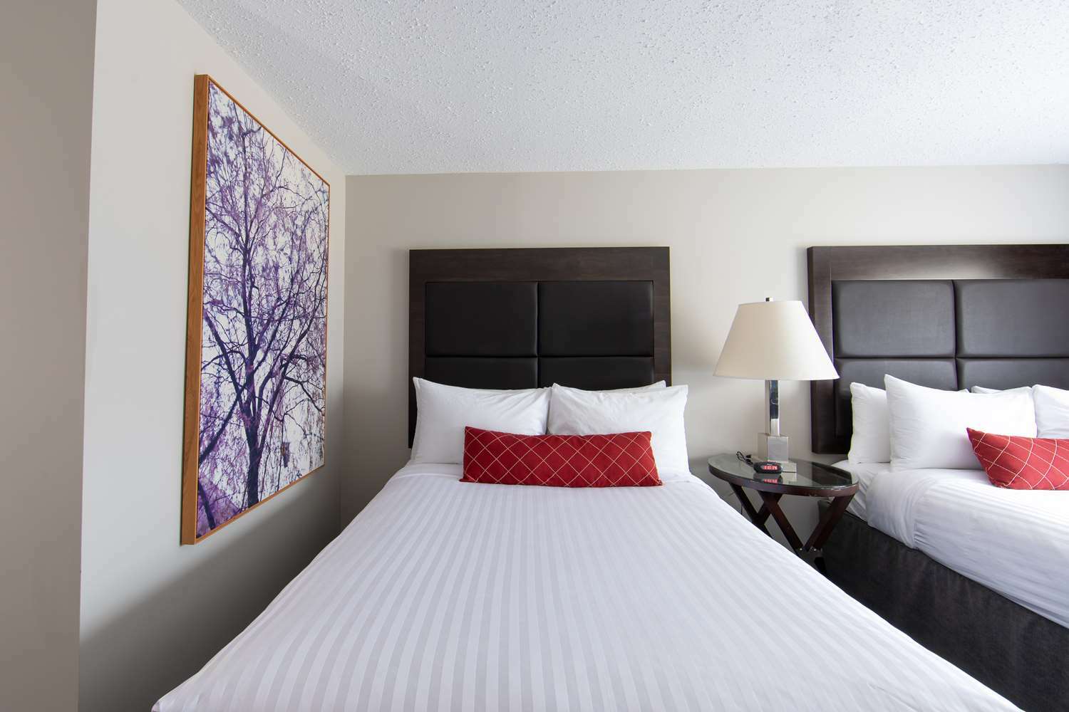 Surestay Hotel By Best Western Castlegar Oda fotoğraf